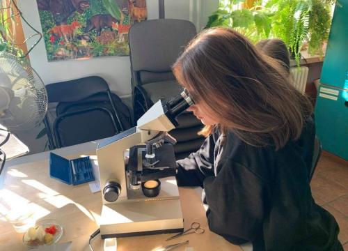 Wykrywanie białek oraz obserwacje mikroskopowe