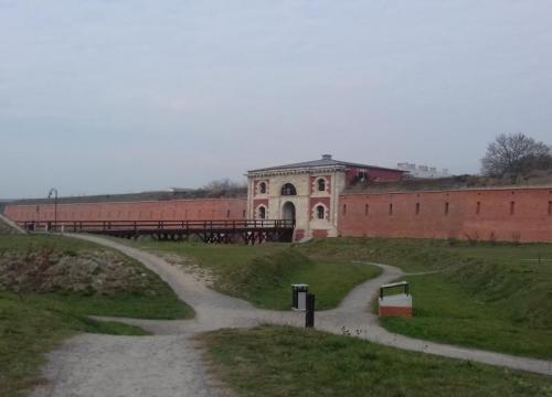Zamość 2